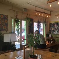 Ambiance + added meditative music  at Jungle Cafe in Brooklyn