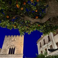 We zaten onder een sinaasappelboompje  at Licchio's Bar in Taormina