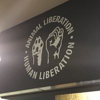 Cool vibe at Black Mamba Burgers and Records in Porto