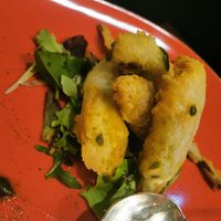 Fiori di zucca at Ristorante Da Mario alla Fava in Venice