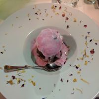 Outstanding vegan cherry gelato on top an apple tart tartine  at Ristorante Da Mario alla Fava in Venice