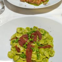 Orecchiette with pea crema and red gnocchi w tomato & basilica at Ristorante Da Mario alla Fava in Venice