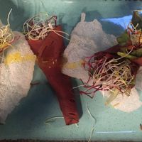Vegan bresaola with rice cakes and sprouts at Ristorante Da Mario alla Fava in Venice