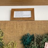   at Il Vegano Bistrot in Florence