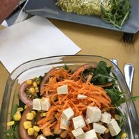 Vegan salad & aspargus risotto at Il Vegano Bistrot in Florence