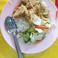 Rice + spicy jackfruit + vegetables with tofu at Vegetarian Food - Rama VI Rd in Trang