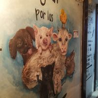Vegan por los animales 🐷🐁🐇🐄🐂🐎🐑🐔🐟 at Corazón Animal Vegano in Bogota