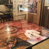 💖 at Corazón Animal Vegano in Bogota