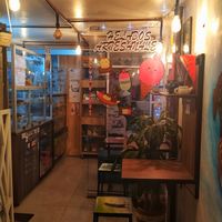 Ambiente ✨🐟✨ at Corazón Animal Vegano in Bogota