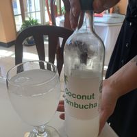 Home-brew coconut Kombutcha  at Lov'n It Live in East Point