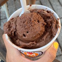 Enjoying some vegan chocolate ice cream  at Mitchell's Ice Cream in Cleveland