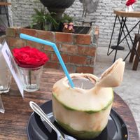 Fresh coconut, 45 baht at Blue Gate Cafe  in Chiang Mai