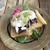 Poached eggs with beetroot  at Greenhouse Cafe in Caloundra