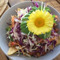 Beautifully presented vegan nachos  at Greenhouse Cafe in Caloundra