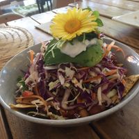 Vegan nachos, loads of dry slaw, simple and healthy  at Greenhouse Cafe in Caloundra