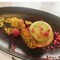 Dessert at Romeow Cat Bistrot in Rome