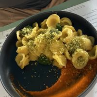 Orecchiette con datterino giallo peperoni e broccolo at Romeow Cat Bistrot in Rome