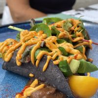 Tacos di mais blu  at Romeow Cat Bistrot in Rome