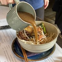   at Romeow Cat Bistrot in Rome