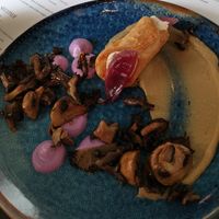  at Romeow Cat Bistrot in Rome