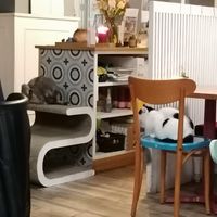  at Romeow Cat Bistrot in Rome