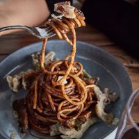   at Romeow Cat Bistrot in Rome