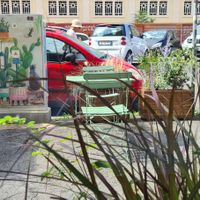  at Romeow Cat Bistrot in Rome