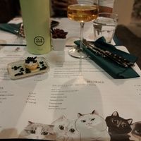  at Romeow Cat Bistrot in Rome