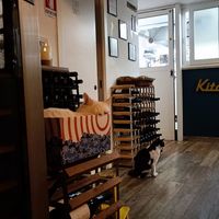  at Romeow Cat Bistrot in Rome