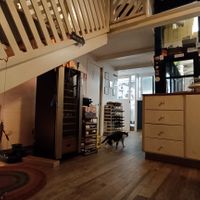  at Romeow Cat Bistrot in Rome