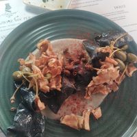 Ravioli at Romeow Cat Bistrot in Rome