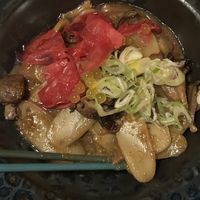  #Veganuary at Romeow Cat Bistrot in Rome