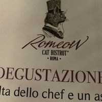   at Romeow Cat Bistrot in Rome