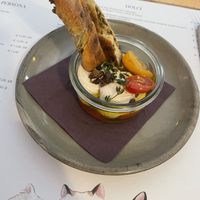   at Romeow Cat Bistrot in Rome