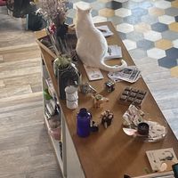   at Romeow Cat Bistrot in Rome