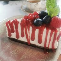  at Romeow Cat Bistrot in Rome