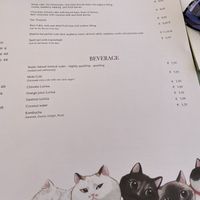   at Romeow Cat Bistrot in Rome