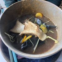 First course  at Romeow Cat Bistrot in Rome