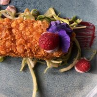 Tofu  at Romeow Cat Bistrot in Rome