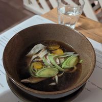 gyoza primi at Romeow Cat Bistrot in Rome