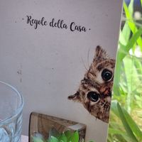  at Romeow Cat Bistrot in Rome