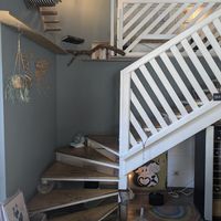  at Romeow Cat Bistrot in Rome