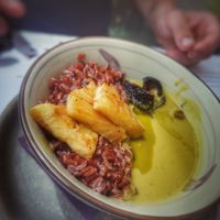  at Romeow Cat Bistrot in Rome