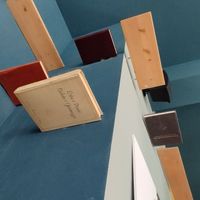 Cool "book" shelves for the cats at Romeow Cat Bistrot in Rome