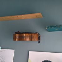 Sleeping gatto Italiano.  at Romeow Cat Bistrot in Rome