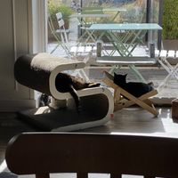   at Romeow Cat Bistrot in Rome