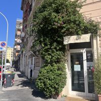 Outside 😍🌿  at Romeow Cat Bistrot in Rome