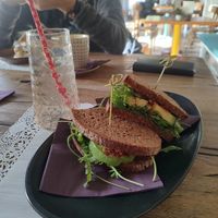 Kombucha and a Sun-Dried Tomato, Rucola and Avo Sandwich 🥑 🥪 at Romeow Cat Bistrot in Rome