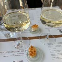 Prosecco   at Romeow Cat Bistrot in Rome