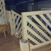 Indoor at Romeow Cat Bistrot in Rome